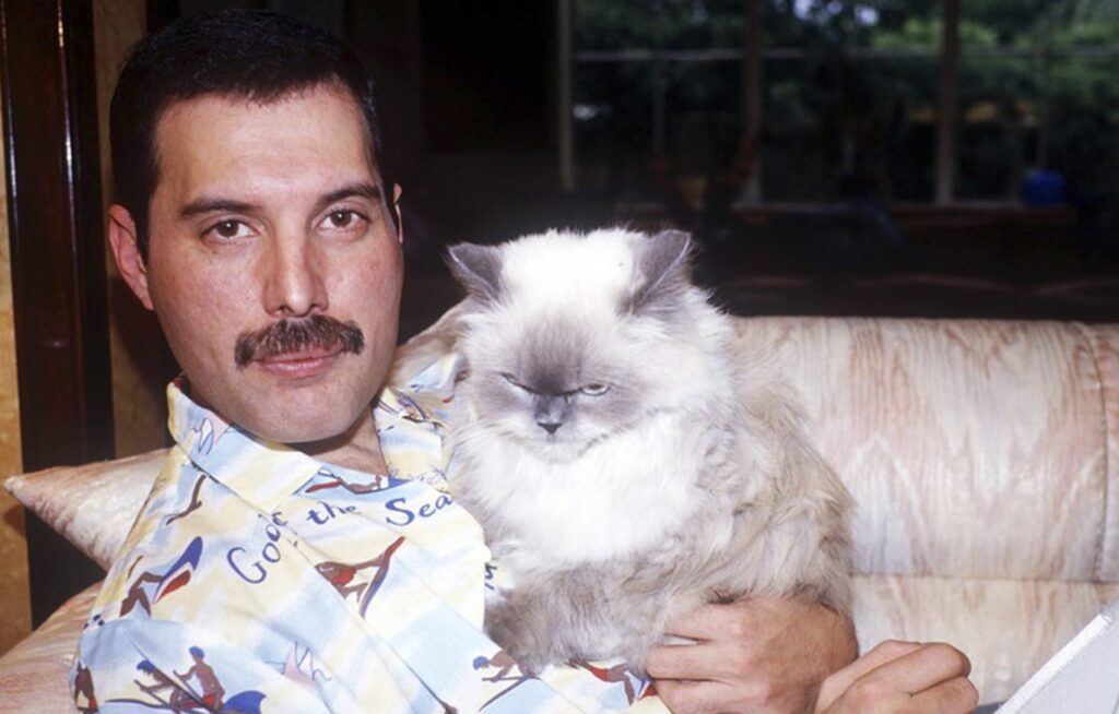 Freddie Mercury