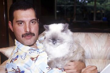 Freddie Mercury