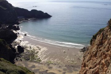 ¿Te animás? Sark, la paradisiaca isla británica busca extranjeros para aumentar su población