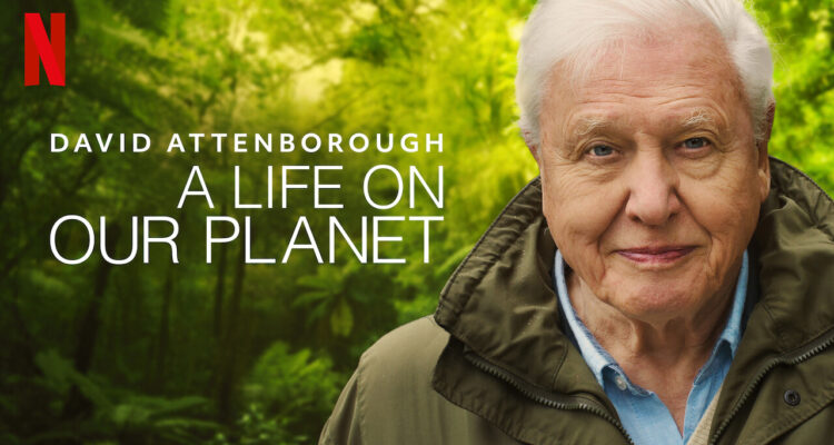 Netflix David Attenborough