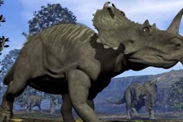 La nueva teoría que explicaría la extinción de los dinosaurios